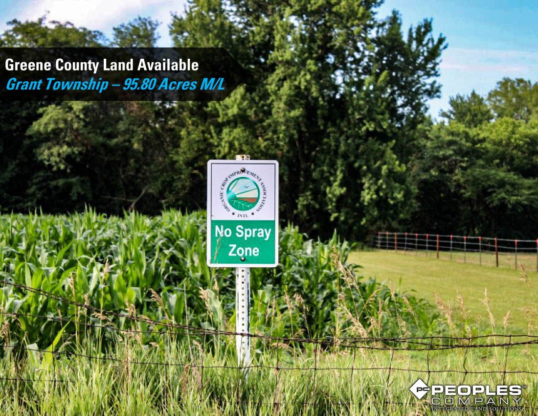Listing Photo: Greene-Co-Rec-Land-Available-95-Acres-19559 (1)